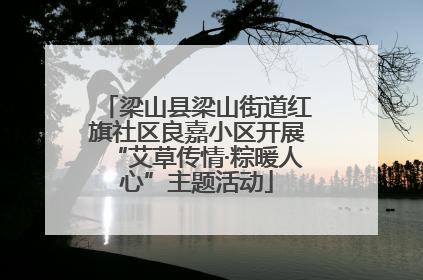 梁山县梁山街道红旗社区良嘉小区开展“艾草传情·粽暖人心”主题活动